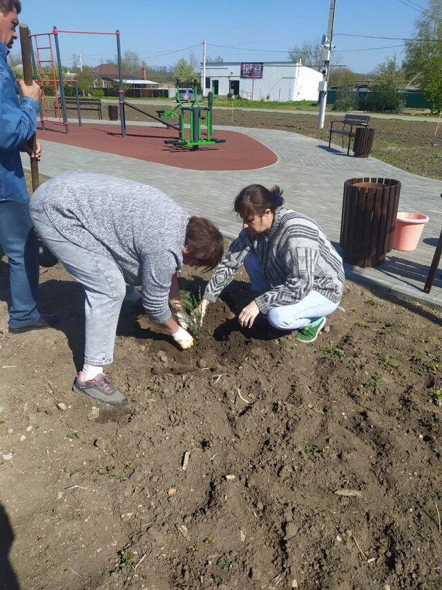 photo 5210920766554630898 y