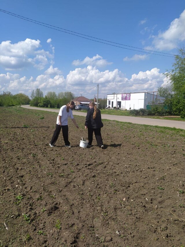 photo 5210920766554630899 y